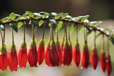 惠州惠城区3私人快速借钱网，轻松解决资金难题