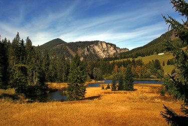 惠州惠城区3民间私贷攻略：揭秘低成本借贷的秘密