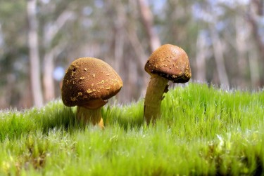 惠州惠城区3私人老板放款：轻松融资的秘密通道